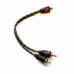 Bizzar BRY-10 στο X-treme Audio